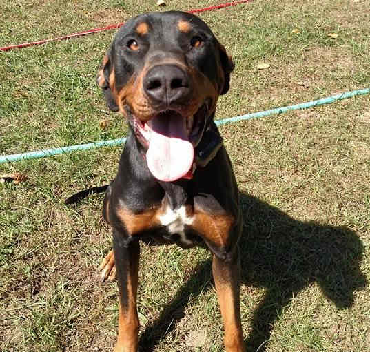 Photo of Zeus