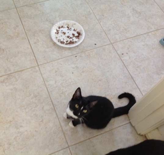 Photo of Annie