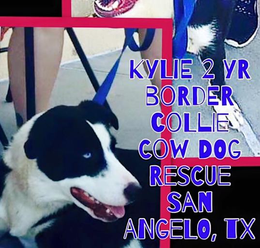 Photo of Kylie
