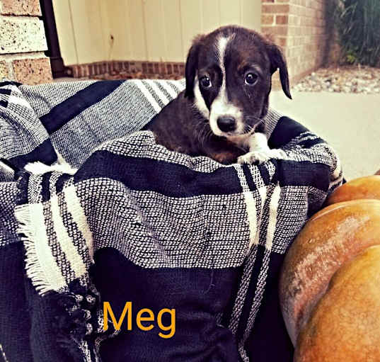 Photo of Meg