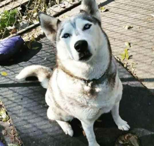 Photo of Frankie