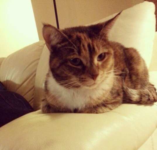 Photo of Ophelia