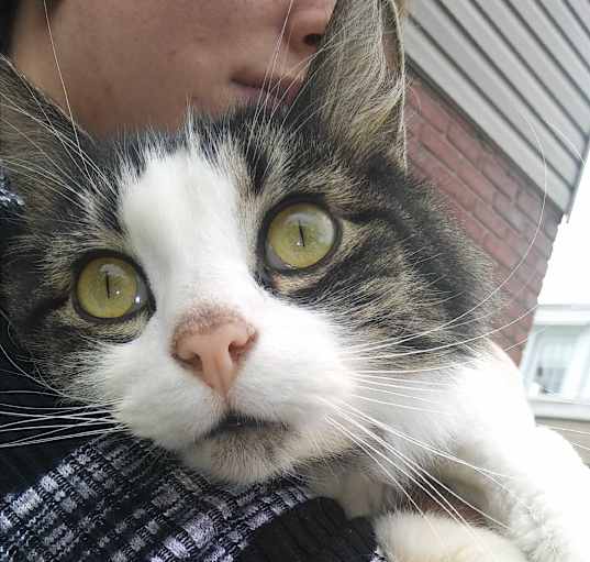 Photo of Tommy