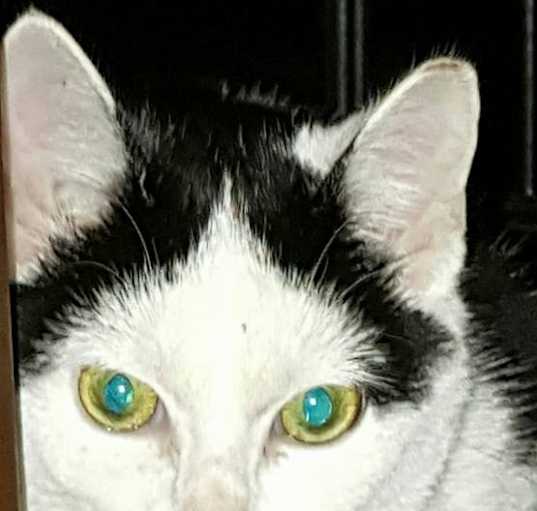 Photo of Marie