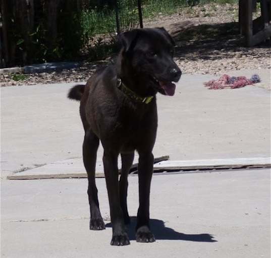 Photo of Charlie