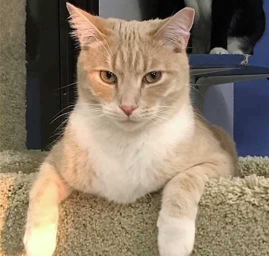 Photo of Beamer