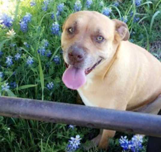 Photo of Olive 