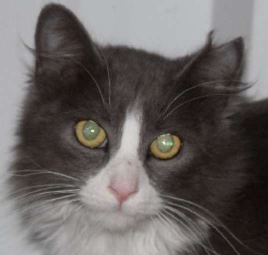 Photo of Arthur