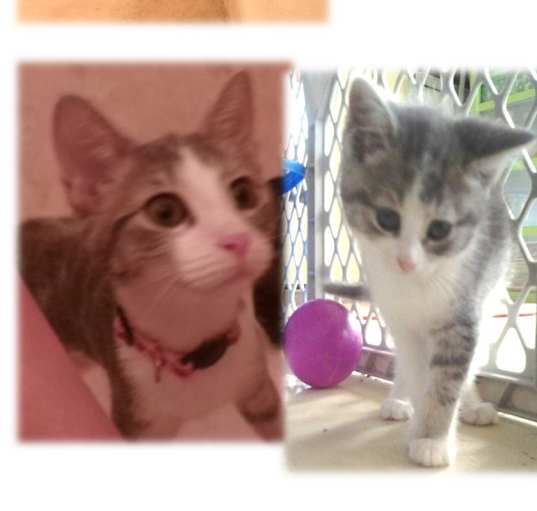 Photo of Annabelle