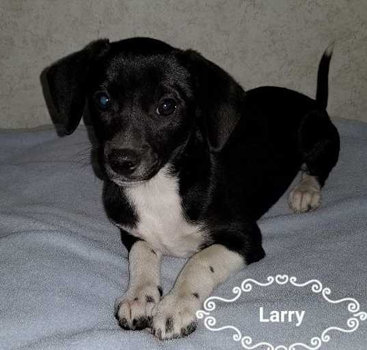 Photo of Larry