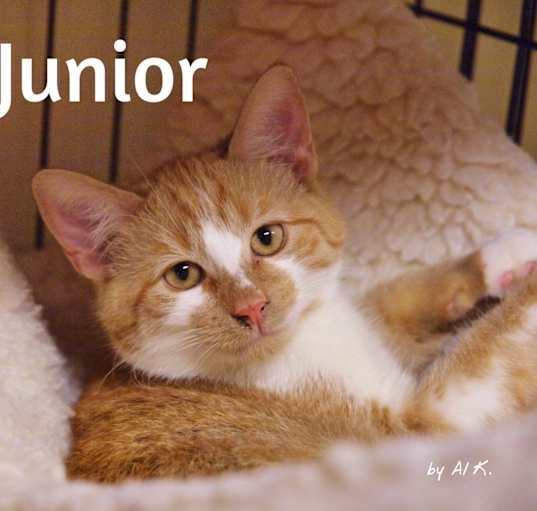 Photo of Junior
