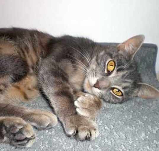 Photo of Baby Girl