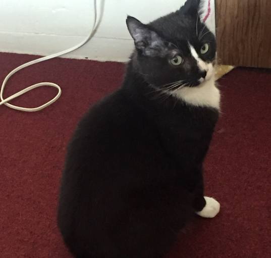 Photo of Buster