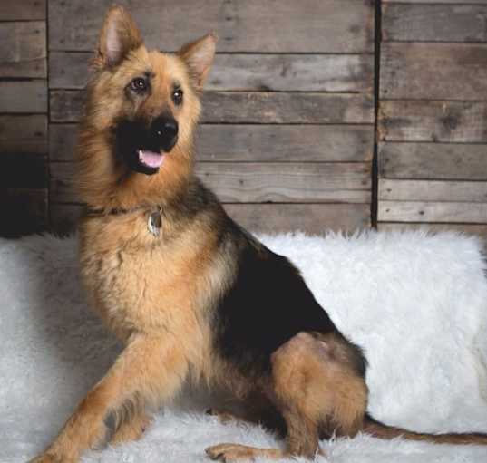 Photo of Lida