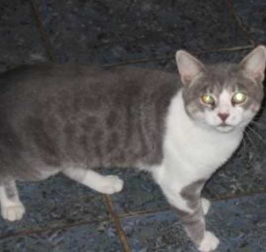 Photo of Gabriel