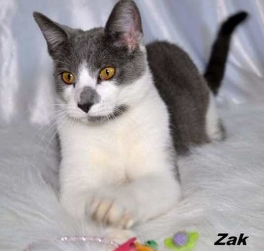 Photo of Zak