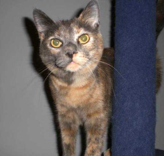 Photo of Molly