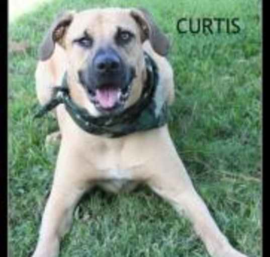 Photo of Curtis