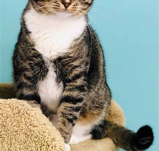 Photo of Twinkle