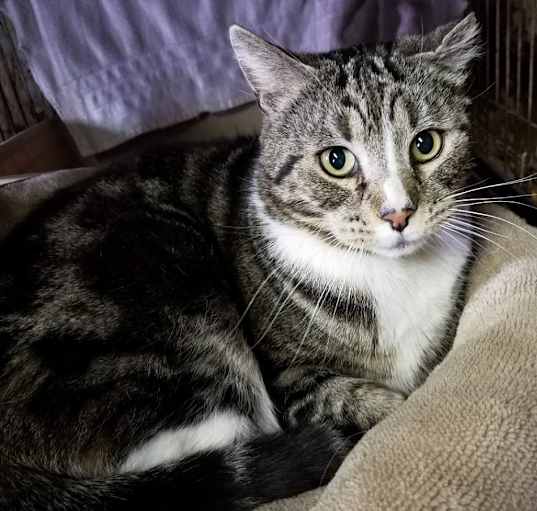 Photo of Scootie