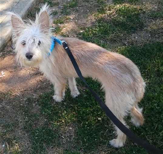 Photo of Bailey Two
