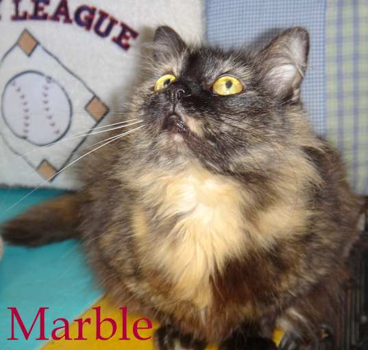 Photo of Marble