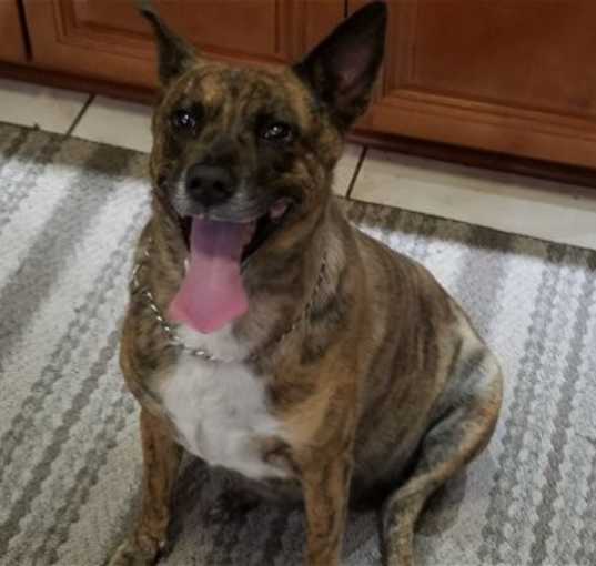 Photo of SOPHIE