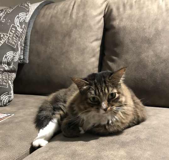 Photo of Lily