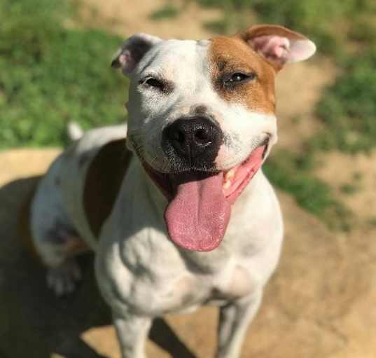 Photo of Moxie