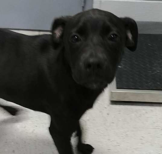 Photo of Bernadette-URGENT