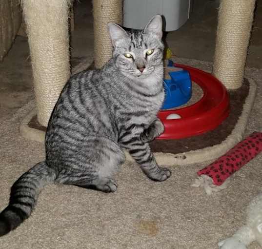 Photo of Sechi-Courtesy Post!