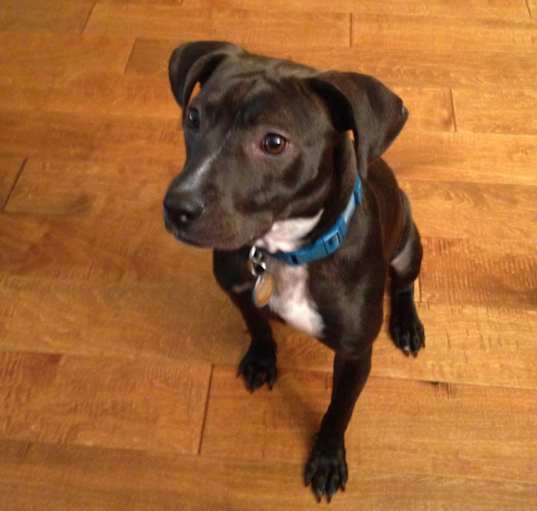 Photo of Coco