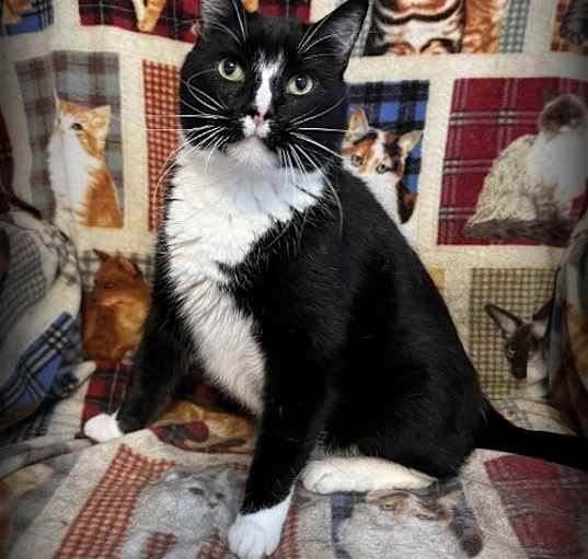 Photo of Bennie