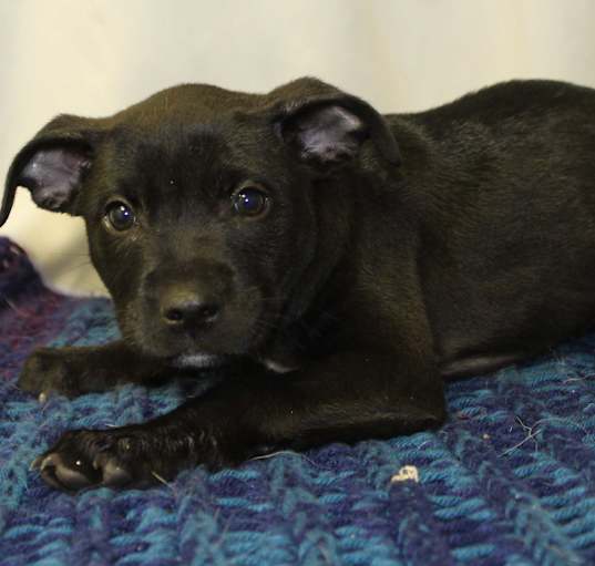 Photo of Lorelai