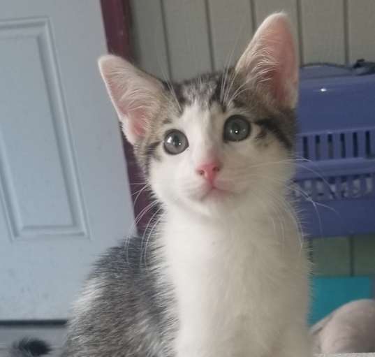 Photo of Mickey