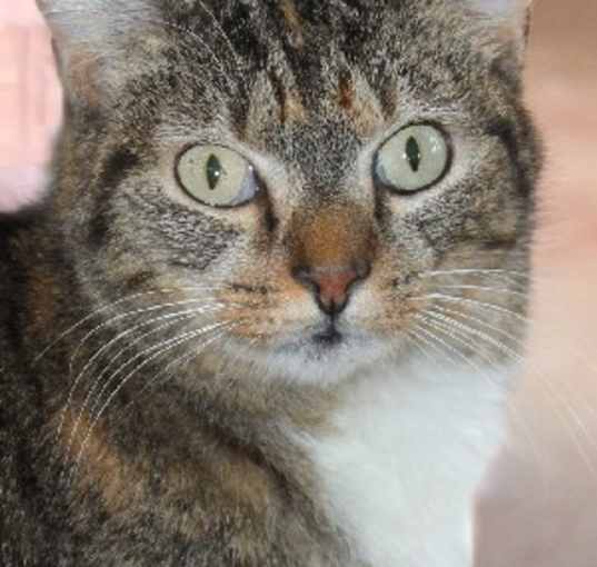 Photo of Gretchen