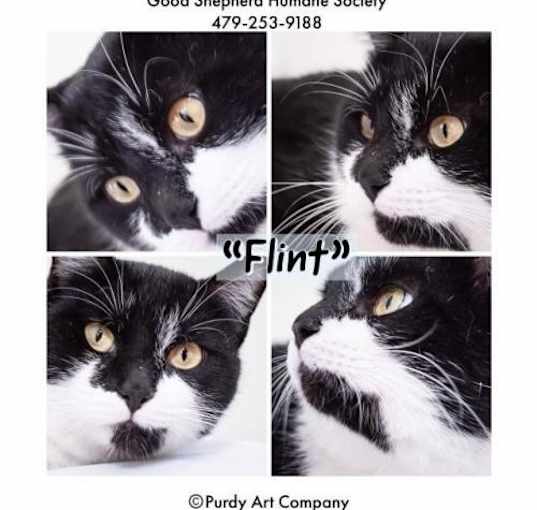 Photo of Flint