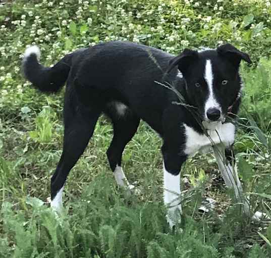 Photo of Jinx