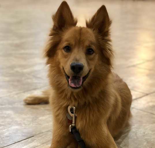 Photo of Max