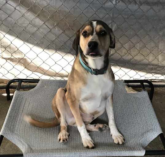 Photo of Bolt