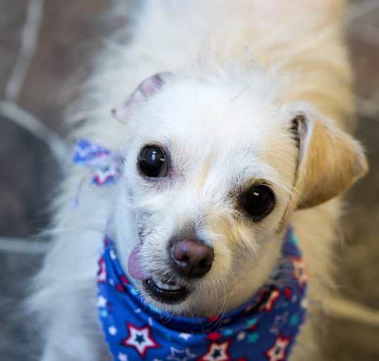 Photo of Bebe