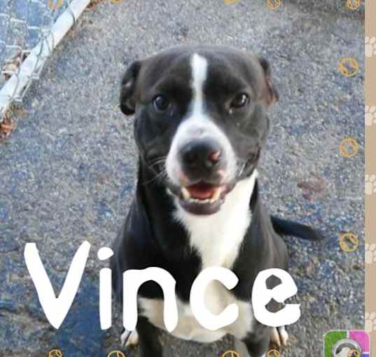 Photo of Vince