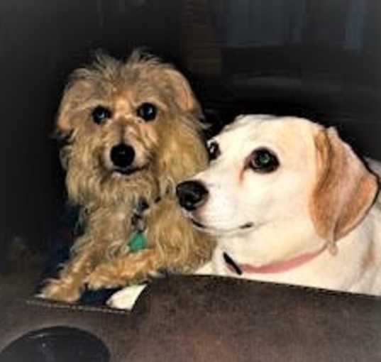 Photo of Susie