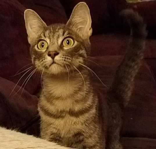 Photo of Edie