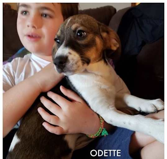 Photo of Odette