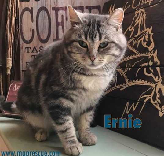 Photo of Ernie