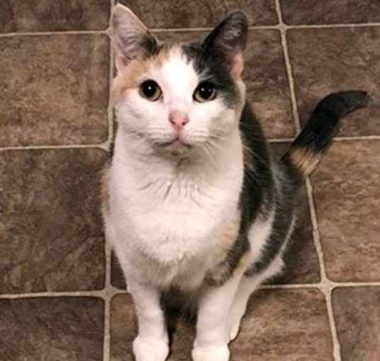Photo of Peigi