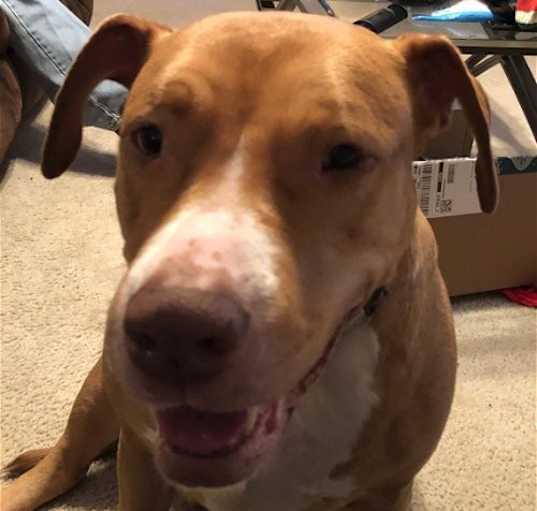 Photo of Jada