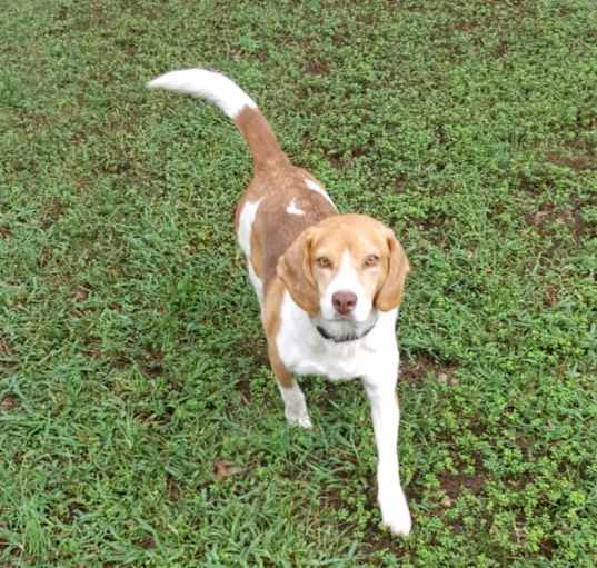 Photo of Arlo