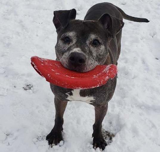 Photo of Emmy